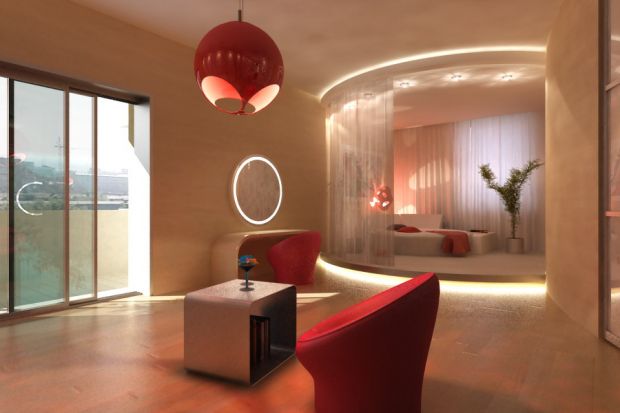 Совмещенная спальня и гостиная