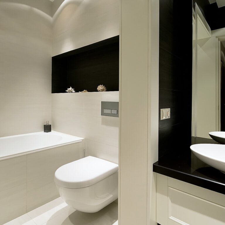 Бело-черный интерьер санузла